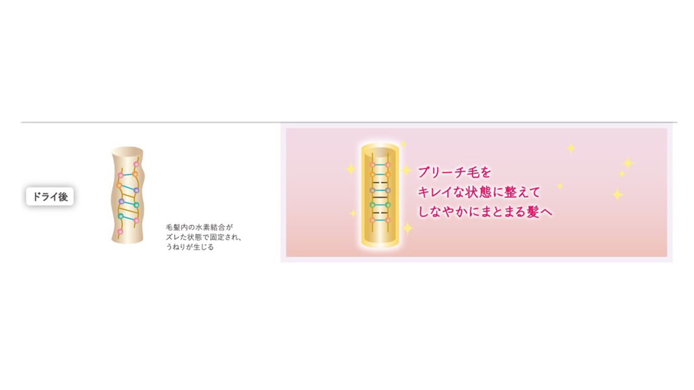 エルジューダ ブリーチケア ジェルセラム | Elujuda