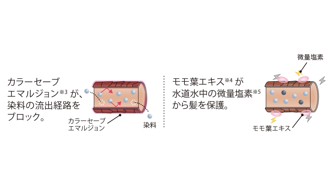 グランドリンケージ ヴェロアリュクス シャンプー | GRAND LINKAGE